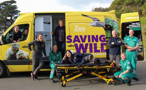 Zoo staff with Wellington Free Ambulance staff